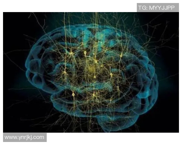 李泓澎：从普通学子到杰出科学家的奋斗历程与人生启示