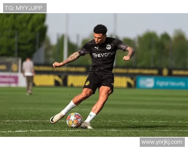 坎塞洛在足球场上的辉煌历程与未来发展潜力分析 坎塞洛在足球场上的辉煌历程与未来发展潜力分析