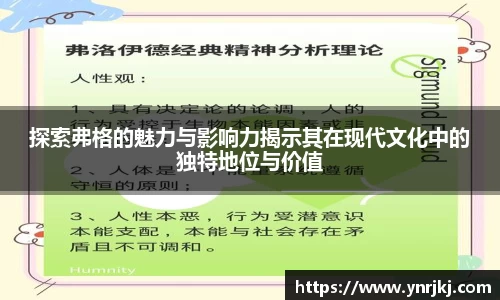 球速体育体育赛事